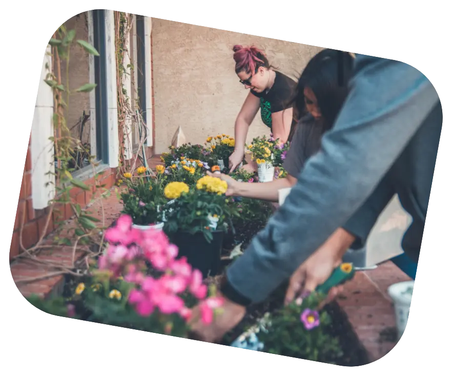 A group of volunteers working together to plant flowers in a community garden, as part of a nonprofit project. One person with pink hair and glasses is among those planting vibrant flowers in. The image represents an example of a community that our nonprofit software can serve.