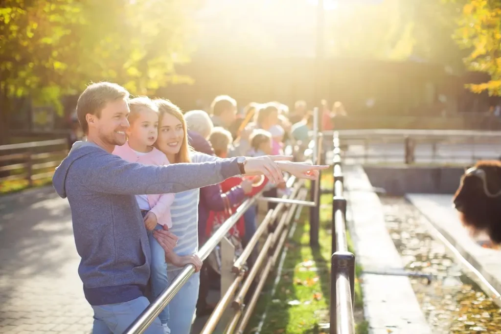 Parents, holding child, pointing at a buffalo enclosure at a zoo. Represent's users of VeryConnect's zoo membership software.